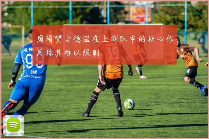 周琦赞古德温在上海队中的核心作用称其难以限制