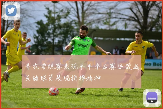 香农常规赛表现平平季后赛逆袭成关键球员展现拼搏精神